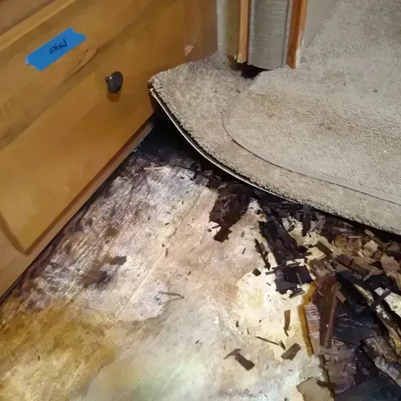 Wood Floor Water Damage in Reese, MI